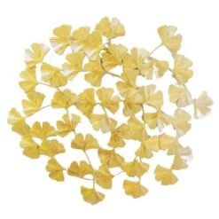 COTTON WOOD Décoration Murale Ginkgo Nuage